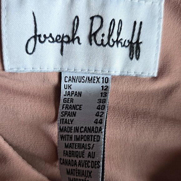 JOSEPH RIBKOFF ( 10 ) Peach Sleeveless Layered pleated soft V-neckline Ruffled - Picture 6 of 6